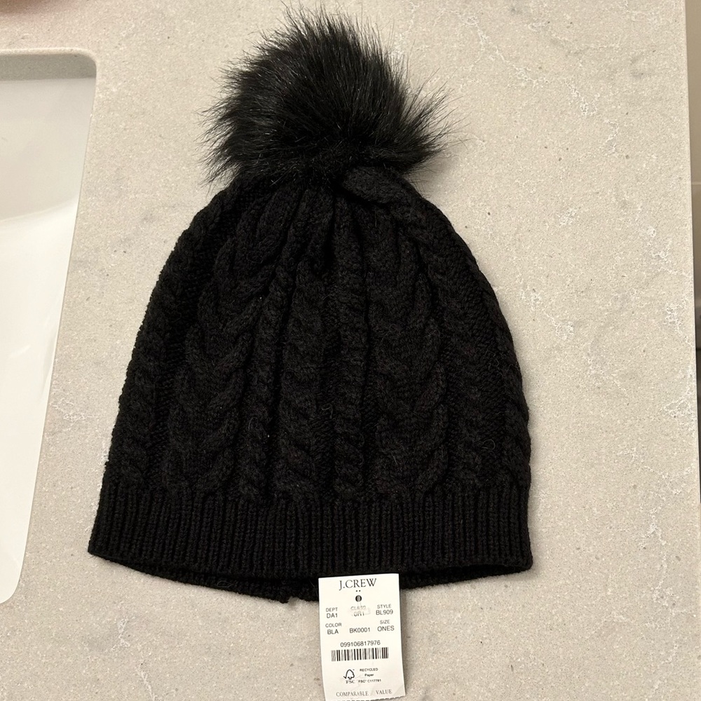 NWT J Crew Pom Pom Beanie